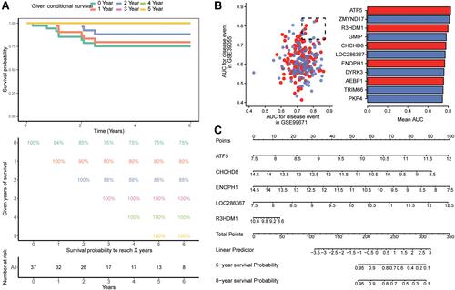 Figure 5 Screening of key genes predicting the occurrence and recurrence of osteosarcoma. (A) Kaplan–Meier estimates for conditional survival up to 6 years in 37 patients given 0–5 years’ survival of osteosarcoma. Each column represents the survival time, and each row represents the percentage reaching the specified survival time. (B) On the left are survival associated genes with AUC values in GSE99671 and GSE39055 and on the right are genes with AUC values greater than 0.73 in both datasets. Red represents up-regulated expression and blue represents down regulated expression. The length of the column represents the mean AUC value. (C) Nomogram for the prediction of overall survival to achieve 5-year or 8-year survival time.