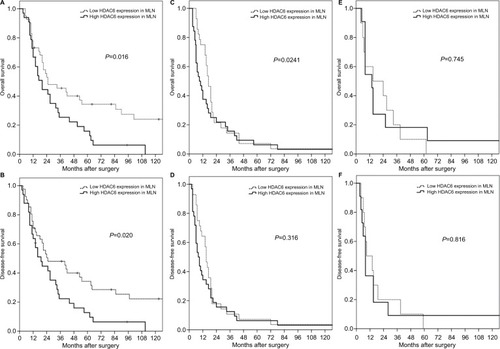 Figure 4 Subgroup analyses for surgically resected T3N1–3M0 esophageal squamous cell carcinomas according to different N status.Note: The prognostic significance of HDAC6 expression in MLNs was found only for N1 patients (A, B), not N2 (C, D), or N3 patients (E, F).Abbreviations: HDAC6, histone deacetylase 6; MLN, metastatic lymph node.