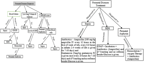 Figure 2. Decision tree for diagnosis and treatment recommendations for newborn disease.