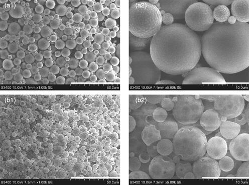 Figure 1. Scanning electron microscopy images of RIF/MOX–PLGA (a1, a2) and MOX–PLGA microspheres (b1, b2). Scale for size of microspheres in a1 and b1 is 50 μm. Scale for size of microspheres in a1 and b1 is 10 μm.