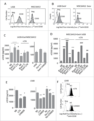 Figure 5. ExoV contribute to CD30 shedding and are inhibited by LT4 or CAM29. Panels A and B: L428 cells or MSC16412 (A) or latex beads-conjugated ExoV from L428 or MSC16412 (B), were stained with the anti-CD30 mAb followed by PE-GAM (grey histograms) or PE-GAM alone (white histograms), washed and run on a FACS. Results are shown as Log red fluorescence intensity (a.u.) vs number of cells. Panel C: sCD30 (pg/ml/105 cells) in the SN of L428 cells cultured for 48 h without (Nil) or with ExoV (30 µg) from MSC16412 untreated (ExoV C) or treated with 10 µM LT4 (ExoV LT4) or 10 µM CAM29 (ExoV CAM29), as indicated. Some samples were prepared using L428 cells exposed for 24 h to 10 µM LT4 (as indicated in the left histogram), before addition of MSC-derived ExoV. *p<0.05 ExoV C vs Nil; #p<0.05 ExoV LT4 vs ExoV C. Panel D: sCD30 (pg/ml/105 cells) in the SN of MSC16412 before (Nil) or after the addition of ExoV (50 or 100 µg for 48 h) from L428 untreated or pretreated with 10 µM LT4, as indicated. In some samples MSC16412 were exposed for 24 h to 10 µM LT4, as indicated, before addition of MSC-derived ExoV. •••p<0.01 vs Nil; ***p<0.001 vs ExoV C matched samples; ##p<0.01, ###p<0.001 vs matched samples without LT4. Panel E: sCD30 content (pg/ml/105 cells) in the SN of L540 cells cultured for 48 h without (Nil) or with 10 µM LT4 or 10 µM CAM29, pretreated or not with nocodazole (Nz), as indicated. Left: *p<0.05, **p<0.01 vs Nil. Right: *p<0.05 Nz vs Nil; **p<0.01 LT4/CAM29 vs Nil: #p<0.05 Nz+LT4 vs LT4;°p<0.05 Nz+LT4 vs Nz;°°p<0.01 Nz+CAM29 vs Nz. Panel F: L540 cells were incubated with LT4 or CAM29 (10 µM, black histograms), as indicated, washed and stained with the anti-CD30 mAb followed by PE-GAM (grey histograms) or PE-GAM alone (white histograms), washed and run on a FACS. Results are shown as Log red fluorescence intensity (a.u.) vs number of cells.