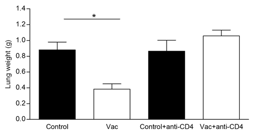 Figure 2. CD4+ T cells are involved in the NGcGM3/VSSP vaccine anti-metastatic effect. Depletion of T cells was achieved injecting anti CD4 mAb, 1 d after each vaccine immunization. Column bars represent mean values and error bars correspond to the standard error. The P value was calculated with ANOVA and the Tukey multiple comparison tests (*P < 0.05).