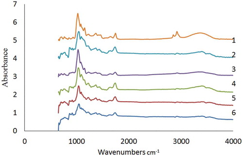 Figure 2. FTIR spectra of different pectin; oven dried (1), vacuum dried (2), spray dried (3), freeze dried (4), Commercial grade (5), Analytical grade (6) pectin.