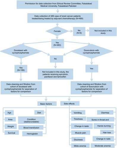 Figure 1 Flowchart of data collection, organization, filtration, and separation.