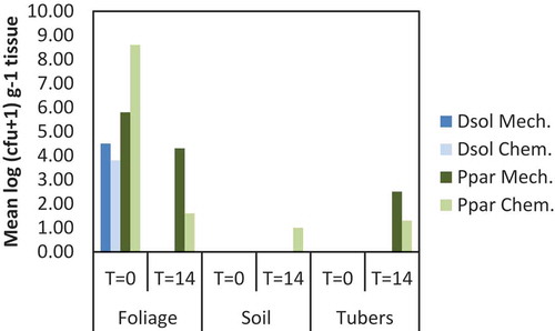 Fig. 6 Population densities of Dickeya solani (Dsol) and Pectobacterium parmentieri (Ppar) in foliage, soil or tubers at 0 and 14 days after chopping the haulms followed by herbicide treatment of stalks (Mech.) or after chemical vine killing (Chem.)