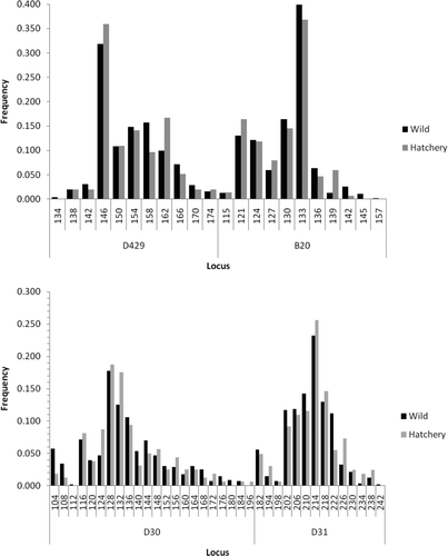 FIGURE A1 Comparison of allele frequencies at various microsatellite loci between hatchery and wild American shad from the Santee–Cooper River basin.