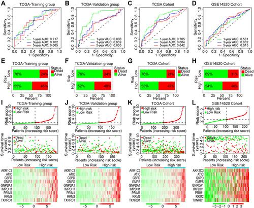 Figure 6 ROC curves and risk plots of the risk score model in HCC. (A–D) ROC curves of the risk score model in the TCGA-training group, TCGA-validation group, TCGA-overall cohort, and GSE14520 cohort; (E–H) proportions of death events in high- and low-risk patients of the TCGA-training group, TCGA-validation group, TCGA-overall cohort, and GSE14520 cohort; (I–L) Risk plots of the risk score, survival time, and gene expression in the TCGA-training group, TCGA-validation group, TCGA-overall cohort, and GSE14520 cohort.