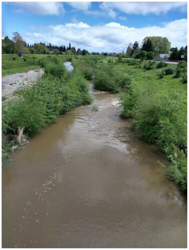 Figure 3. San Lorenzo River after rain. Image: Marilia Kaisar, 2020.