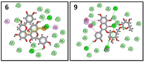 Figure 10. 2D interactions of procyanidin B3 (6) and quercetin 3-O-rutinoside (9) within 5-LOX binding pocket.