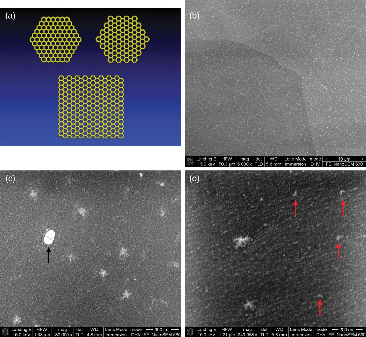 Figure 6. (a) Schematic models showing hexagonal shapes with only zigzag, only armchair edges, and a square shaped domain with both zigzag and armchair edges on sides. (b) Typical SEM image of the Cu surface showing the Cu grain boundaries and Cu nanoparticles. (c, d) High-magnification SEM images showing a big Cu particle, dendrite-like Cu nanoparticles, and rough Cu surface morphologies.