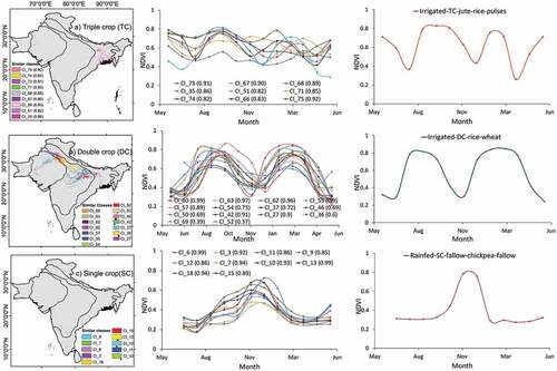 Figure 9. Spectral matching techniques (SMTs) to match class spectra with ideal spectra extracted from MODIS 250 m time series data (Gumma et al. Citation2017; ICRISAT Citation2022).