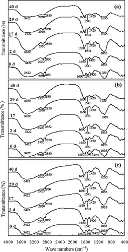 Figure 8. FTIR spectra change of composting mixtures at different initial C/N ratios with composting time. (a) C/N ratio of 14; (b) C/N ratio of 20; (c) C/N ratio of 25.