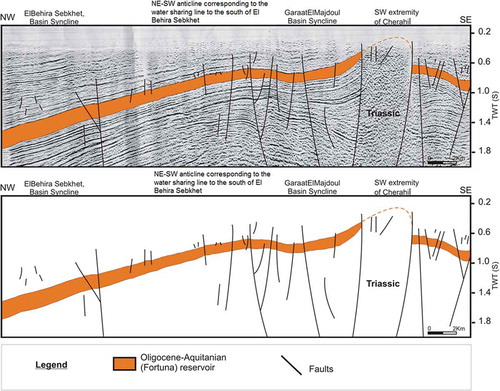 Figure 7. Seismic line (L7) interpretation showing Oligocene and Mio-Plio-Quaternary horizon structuring and subsurface to surface faults, subsiding syncline and high anticline basin relationship of Sebkhet El Majdoul (position shown on Fig. 1).