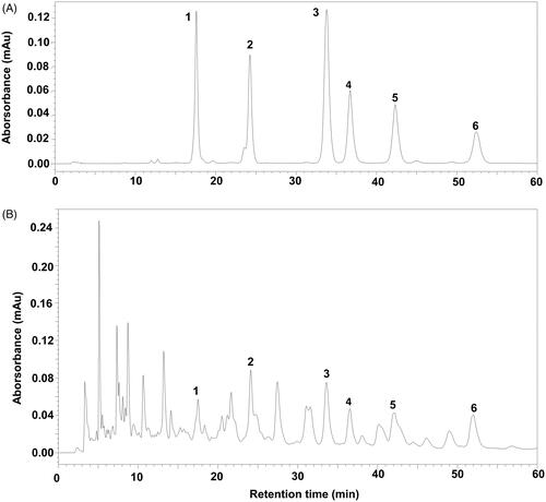 Figure 1. The HPLC chromatographic profile of ganoderic acids in the extract of G. sinensis. (A) Reference substance. (B) Sample of the extract of G. sinensis. (1) Ganoderenic acid B; (2) ganoderic acid A; (3) ganoderenic acid D; (4) ganoderic acid D; (5) lucidenic acid D; (6) ganolucidate F.