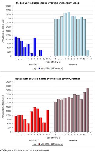 Figure 2 Annual income from work, in Euros.