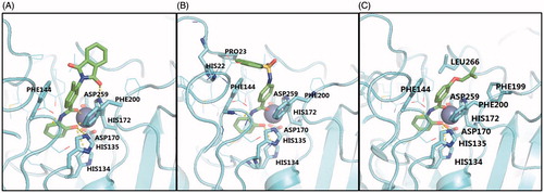 Figure 4. The modes of compound 2 (A), 2–1 (B) and 2–2 (C) bound to HDAC3, predicted by FRED. Colour codes: light blue, HDAC3; green, hit compounds; blue sphere, zinc ion.