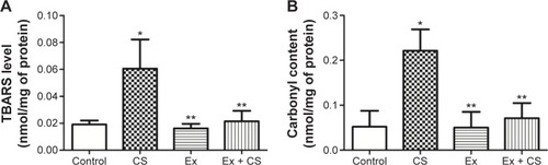 Figure 4 Oxidative damage in lipids (A) and protein (B) in lung homogenates from mice exposed to CS and/or to Ex.