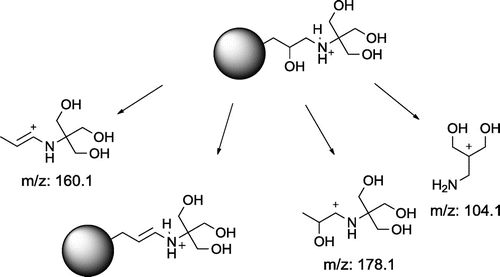 Figure 9. Common fragmentation pattern of compounds 1 and 4.