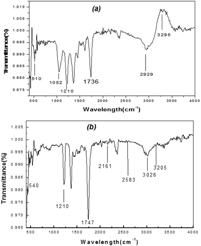 Figure 2. FT-IR spectra of extracts from flowers (a) and leaves (b) of C. citrinus.