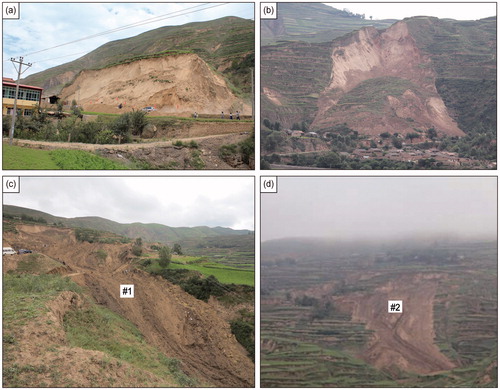 Figure 2. Photos showing typical landslides in the study area: (a) landslide in Chuanducun, (b) landslide in Weixincun, (c) Yongguangcun 1# landslide, and (d) Yongguangcun 2# landslide.