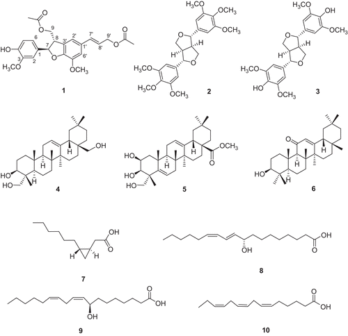 Figure 2.  Structures of compounds 1-10 isolated from L. acidissima.