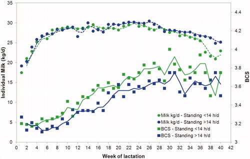 Figure 3. Milk production and Body condition score (BCS) for group of cows with daily time standing in the first 21 days of lactation (<14 or >14 h/d) during the first 40 weeks of lactation.