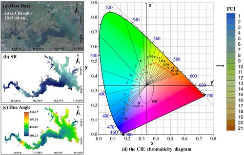 Figure 4. An example of the processing of satellite images with the FUI model. Taking Lake Changhu as an example, the RGB images of Landsat-8 raw data (a), atmospheric-corrected data (b) and hue angle images (c) from October 16, 2015 are shown. Hue angle α in the CIE chromaticity diagram (d) refers to the intermediate parameter of the FUI model (Wang et al. Citation2018).