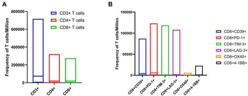 Figure 9 The frequency of different T cells populations. (A) The frequency of CD3+ T cells, CD4+ T cells, and CD8+ T cells in T cells/106 of BLCA patients; (B) The frequency of CD8+CD39+ T cells, CD8+PD-1+ T cells, CD8+TIM-3+ T cells, CD8+LAG-3+ T cells, CD8+OX40+ T cells, and CD8+4-1BB+ T cells in T cells/106 of BLCA patients.