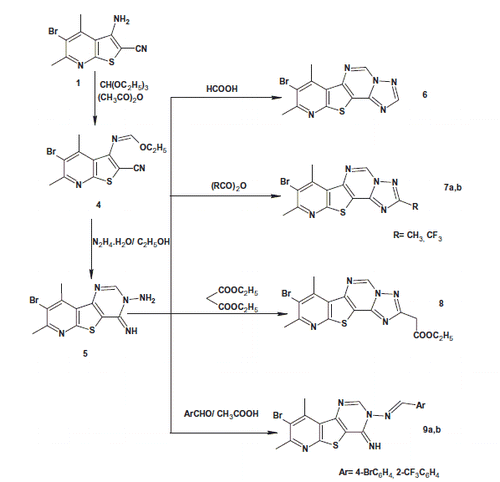 Scheme 2. Synthesis of the target compounds 6–9.