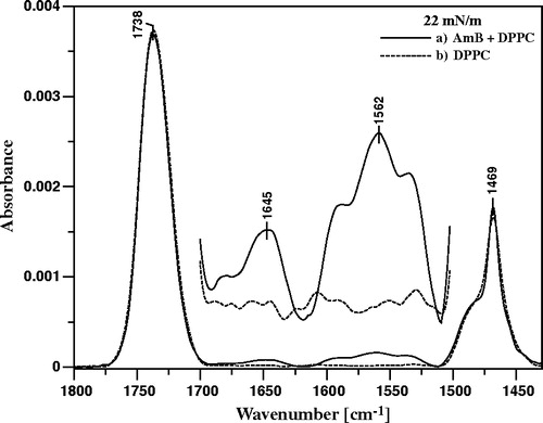 Figure 7.  ATR-FTIR absorption spectra recorded from the Langmuir-Blodgett monomolecular films deposited at two sides of a Ge crystal from lipid monomolecular layer of DPPC formed at the air-water interface, compressed and stabilized at the surface pressure 22 mN/m (dashed line) and the DPPC film deposited to the crystal after the injection of 10 µl of water solution of AmB (pH 12) into 12 ml of the subphase (solid line). Final concentration of AmB in the subphase 0.9 µM. The central part of the spectra is also presented on the 10-fold expanded absorption scale.