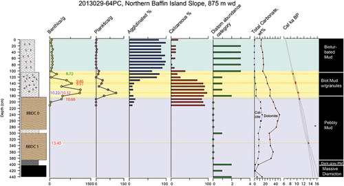 Figure 4. Basic stratigraphy and proxies for 64PC. The blue box denotes glaciomarine sediments. The yellow and green boxes denote postglacial sediments. The data are presented left to right as core log, calibrated radiocarbon dates (Marine13 data) on benthic foraminifera (red), planktic foraminifera (pink), mollusks (blue), and seaweed macrofossils (green), followed by benthic forams/g, planktic forams/g, agglutinated forams percentage, calcareous forams percentage, the diatom abundance category, the calcite and dolomite weight percentages, and the age model with 2σ errors and showing one age that is not included in the age model (gray circle).