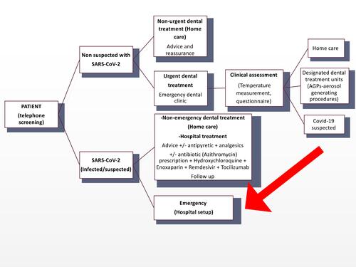 Figure 2 Patient screening and triage process.