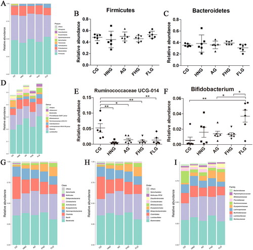 Figure 9. Analysis of differences in the composition of intestinal flora. (A) Barplot of top 10 relative abundance at the phylum level. (B-C) The relative abundance of Firmicutes and Bacteroides in each group, the data were subjected by one-way ANOVA. Data are presented as mean ± SD (n = 6). (D) Barplot of top 10 relative abundance at the genus level. (E-F) The relative abundance of Ruminococcaceae UCG-014 and Bifidobacterium in each group, the data were subjected by one-way ANOVA. Data are presented as mean ± SD (n = 6). (G-I) Barplot of top 10 relative abundance at class, order and family level. *p < 0.05; **p < 0.01; ***p < 0.001. Others represent the sum of the relative abundance of all species other than 10 and species without annotation information.