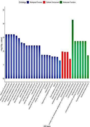 Figure 5 Gene Ontology enrichment analysis of DEGs. The significant BP, MF and CC terms in GO enrichment analysis at p-value < 0.05.