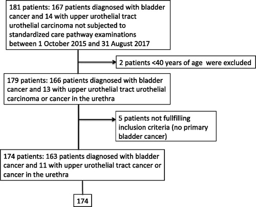 Figure 2. Description of the control group, defined as all patients residing in the same geographical area (Region Skåne) who were diagnosed with urothelial cancer (in the upper urinary tract, the urethra or the urinary bladder) without being included in the standardized care pathway for urothelial cancer during the same period.