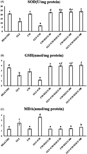 Figure 2. The tissue SOD activities (A), GSH (B) and MDA (C) levels of all the experimental groups. Means in the same column with the same letter are not significantly different; means in the same column with different letters indicate significant differences between the groups.