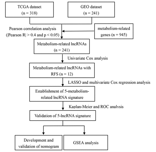 Figure 1. Flow chart illustrating development of the metabolism-related lncRNA signature identified in this study