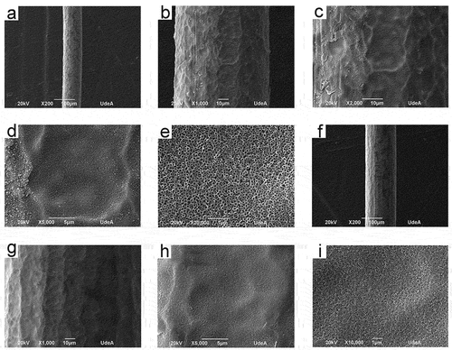 Figure 5. SEM micrographs of heat-treated at 350°C anodized titanium wires. S3 (a)-(e), S4 (f)-(i).