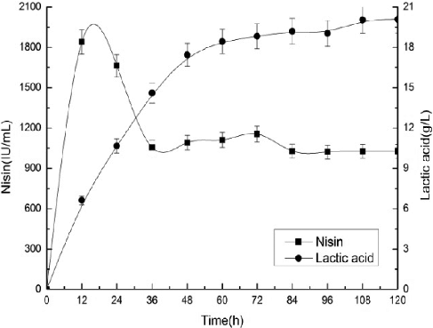 Figure 5. Kinetic profiles of nisin and lactic acid production by Lactococcus lactis subsp. lactis ATCC 11 454 during the SSF course.