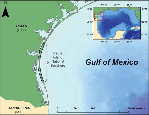 FIGURE 1. Map of the south Texas sampling area, including boundaries of the Padre Island National Seashore (black border). Inset map displays the location of the study area relative to the Gulf of Mexico.
