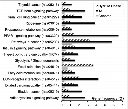 Figure 1. Pathways dysregulated in obese human adipose tissue. Berger et al., p. 163.