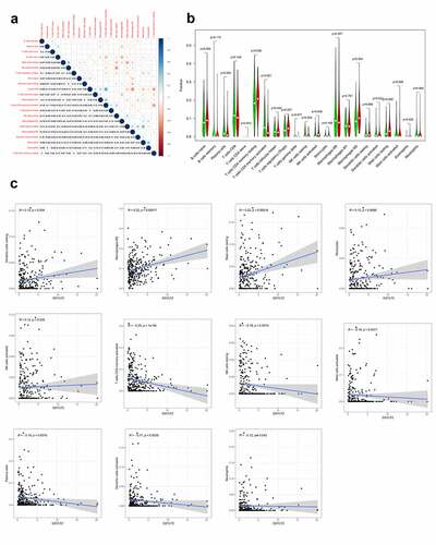 Figure 5. Identification of differences and correlation between the GXYLT2 expression level and tumor-infiltrating immune cells in in GC patients