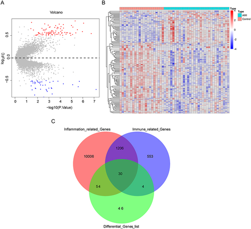 Figure 1 Identification and screening of differentially expressed immuno-inflammation-related genes (DEIIRGs). (A) Volcano plot and (B) heatmap of 134 differentially expressed genes (DEGs) between acute myocardial infarction (AMI) and control samples in GSE48060. The screening criteria were set to |Log2FC|  > 0.5 and p < 0.05. (C) Venn diagram that obtained 30 DEIIRGs after overlapping 134 DEGs and 11,296 inflammation-related genes.