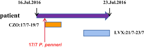 Figure 1 Integrated view of the medical record.