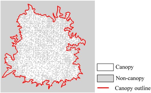 Figure 2. A sample of the effect of within-crown gaps on CC estimation. The CC was underestimated by approximately 50%, as many within-crown gaps were classified as non-canopy (i.e. gray pixels within the red outline). Note that reference canopy pixels were located in the canopy outlines that were manually delineated, and the reference CC was calculated as a ratio of the number of reference canopy pixels to the total pixels.