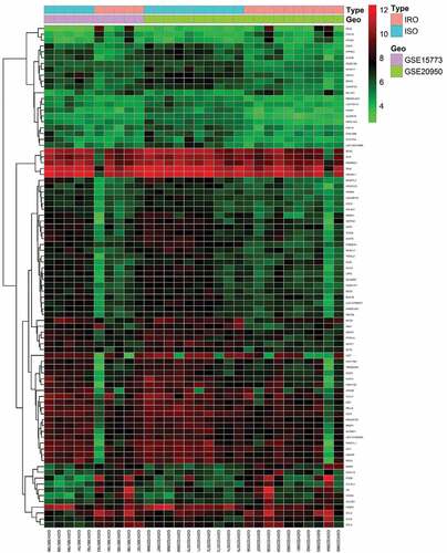 Figure 1. Heatmap of 86 DEGs screened by limma package in R software. Red areas represent highly expressed genes and green areas represent lowly expressed genes in omental adipose from IRO subjects compared with ISO subjects. DEG: differentially expressed gene; IRO: insulin-resistant obesity; ISO: insulin sensitivity obesity.