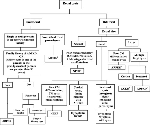 Figure 2. Algorithm for clinical diagnosis of renal cystic diseases (for confirmatory molecular diagnostics when feasible). (1) DMSA scan should be done to confirm non-function; also voiding cystourethrography to exclude contralateral vesicoureteric reflux should the contralateral kidney demonstrate abnormal ultrasonographic findings. (2) If no cysts could be detected by high resolution US, renal biopsy should be done if molecular genetic analysis is not available. Extrarenal manifestations with NPHP can include retinitis pigmentosa and molar tooth sign (Joubert syndrome-related disorders). (3) The presence of evident congenital hepatic fibrosis supports the diagnosis; to be confirmed by PKHD1 genetic mutational analysis. (4) Renal biopsy may be indicated to confirm the diagnosis of GCKD in doubtful cases. For GCKD, a parent may be also affected. (5) The presence of a parent with ADPKD confirms the diagnosis. Nevertheless, absence of renal cysts in both parents does not rule out ADPKD because new mutations account for 8–10% of cases. PKD1 & PKD2 mutational analysis is confirmatory. (6) For confirmatory molecular diagnostics particularly NPHP1 mtational analysis.