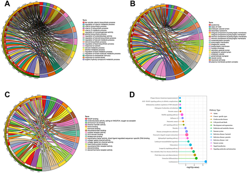 Figure 5 The possible involvement of DEGs in osteoclast differentiation. (A) GO functional analysis of DEGs in BP. (B) GO functional analysis of DEGs in CC. (C) GO functional analysis of DEGs in MF. (D) KEGG pathway enrichment analysis of DEGs; the node size represents the number of genes, and the node color refers to the p value of the enrichment analysis.