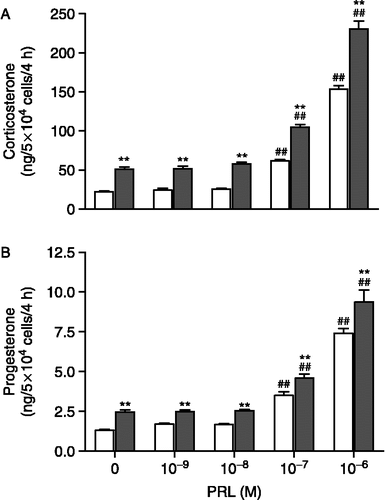 Figure 2 Effects of oPRL (10− 9 to 10− 6 M) on release of corticosterone (A) and progesterone (B) in primary adrenal cultured cells from adult male HAA (open bar) and LAA rats (close bar). Results represent the means ± SEM of three different experiments performed in quadruplicate. ##P < 0.01 compared with basal level (0M) of each strain, respectively. **P < 0.01 as compared with HAA rats, respectively.
