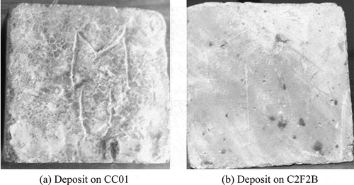 Figure 8. Change in appearance of CC01 and C2F2B after immersion in 10% magnesium sulphate solutions